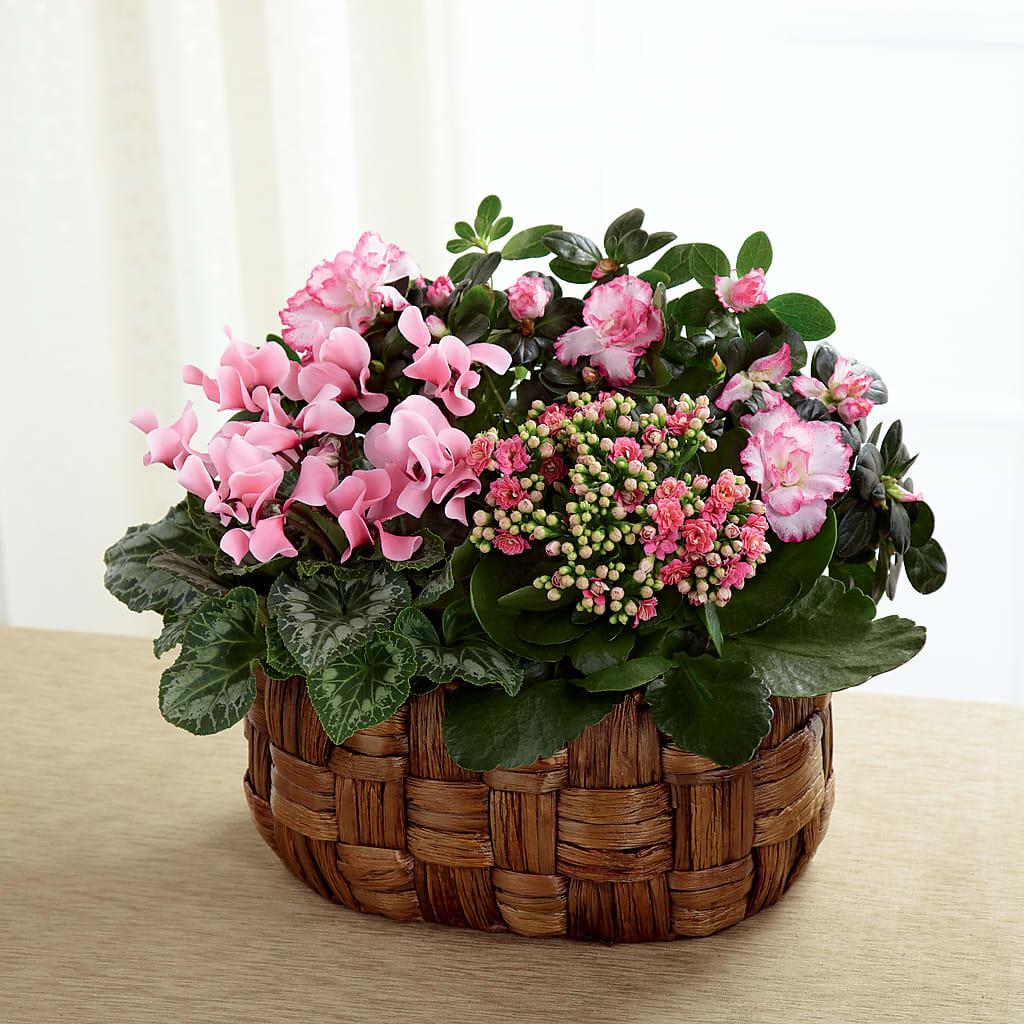 Pink Assortment – United Family Flower And Gifts, Brooklyn NY