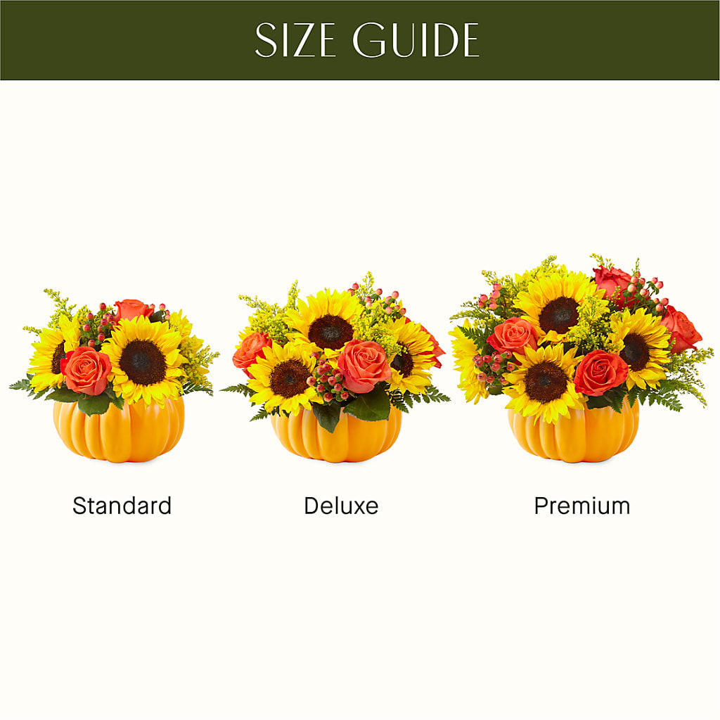 Pick of the Patch Pumpkin Bouquet – United Family Flower And Gifts, Brooklyn NY