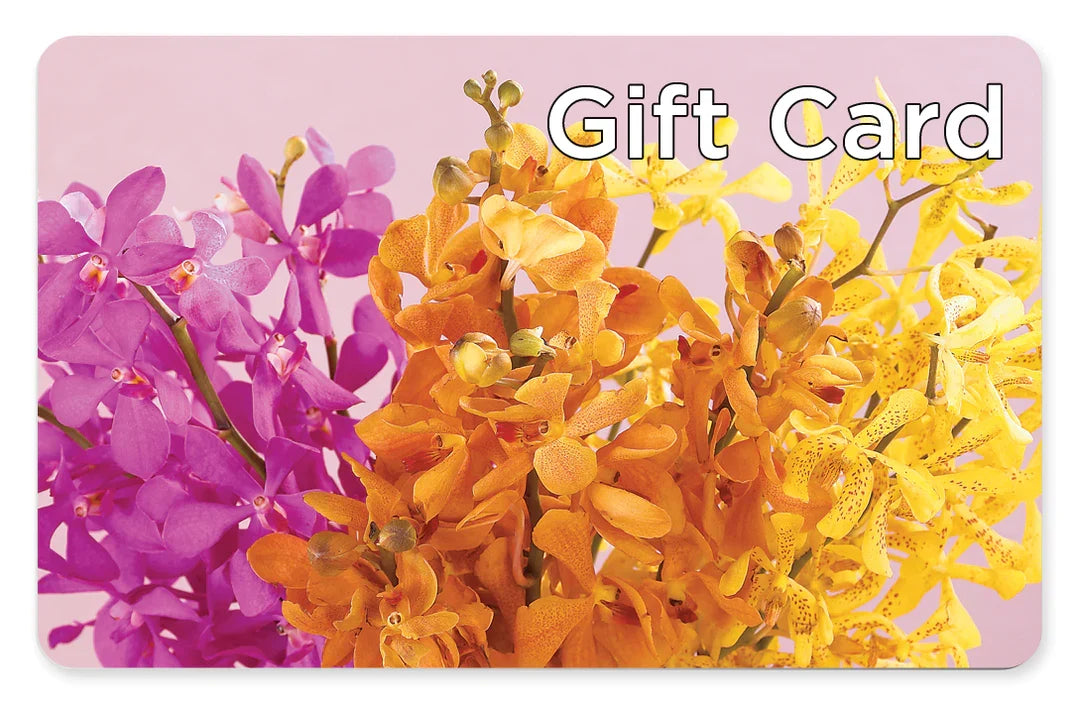Gift Card – United Family Flower And Gifts, Brooklyn NY