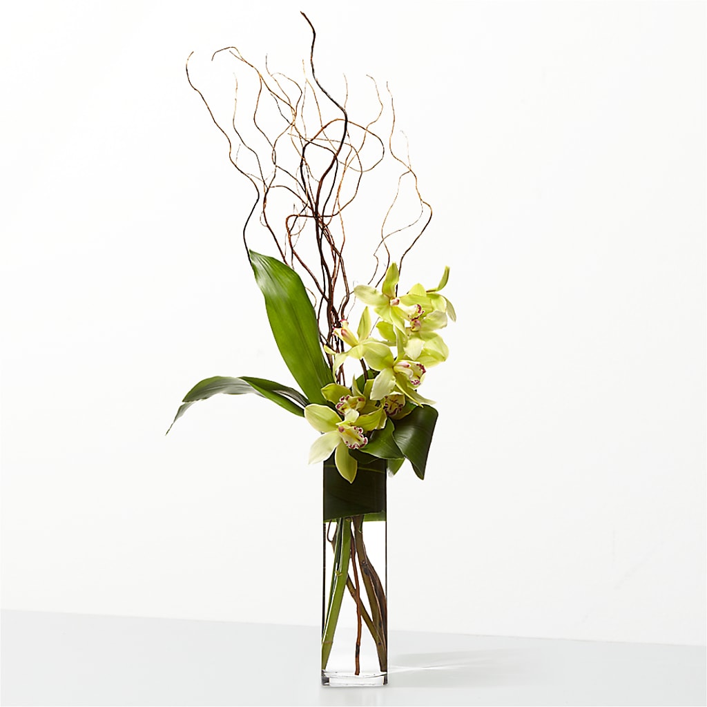 The Statement – United Family Flower And Gifts, Brooklyn NY