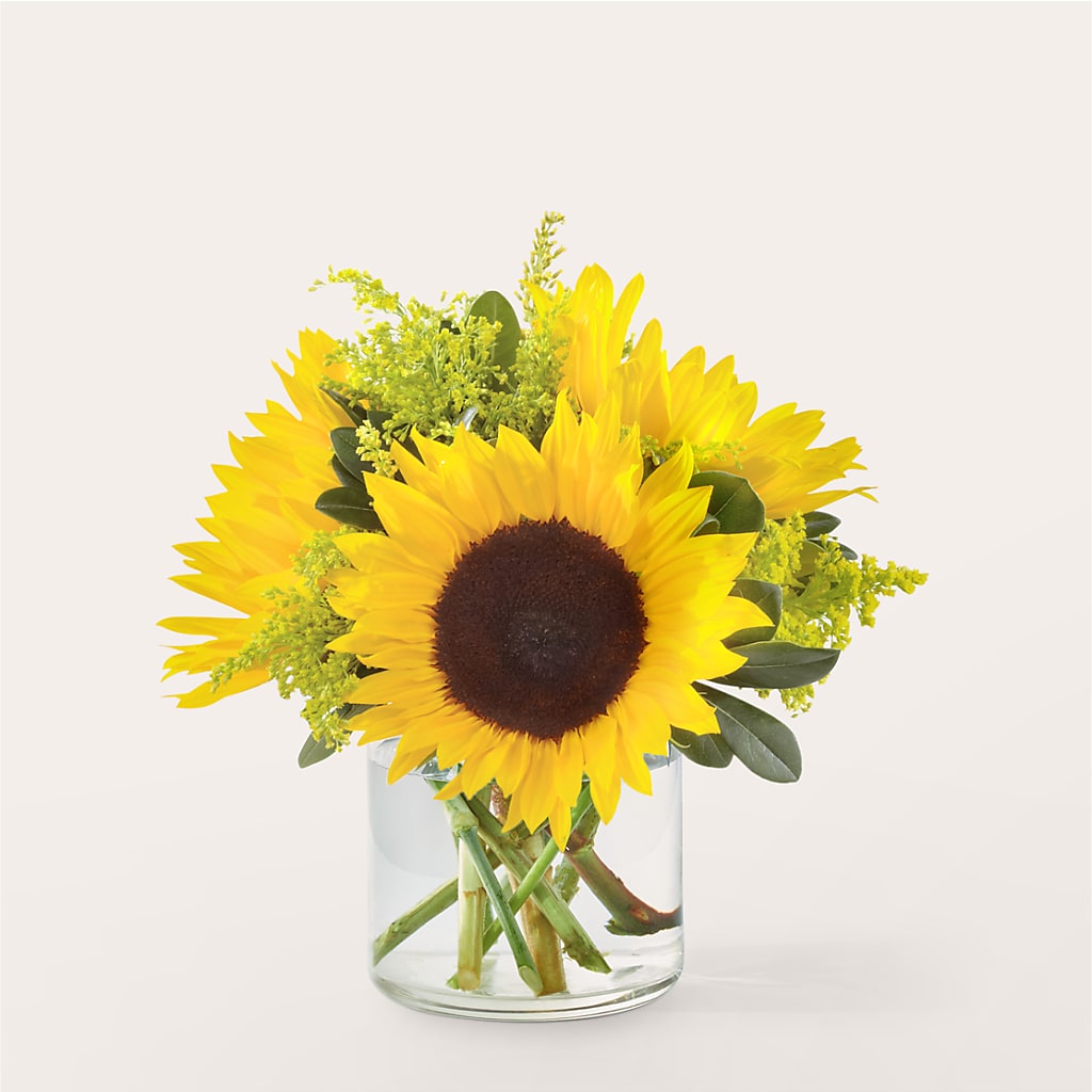 Beaming Sunflower Bouquet – United Family Flower And Gifts, Brooklyn NY
