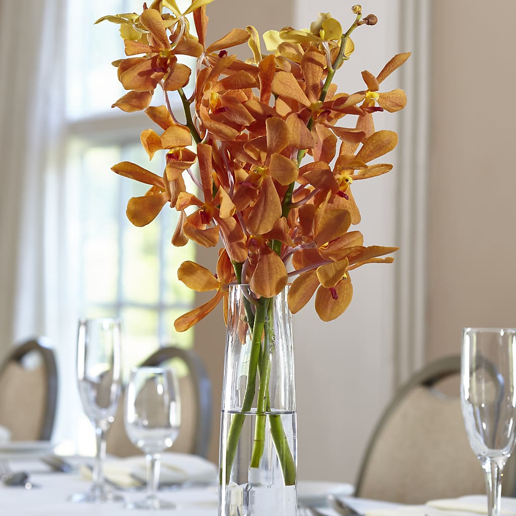 Orange Mokara Bud Vase – United Family Flower And Gifts, Brooklyn NY