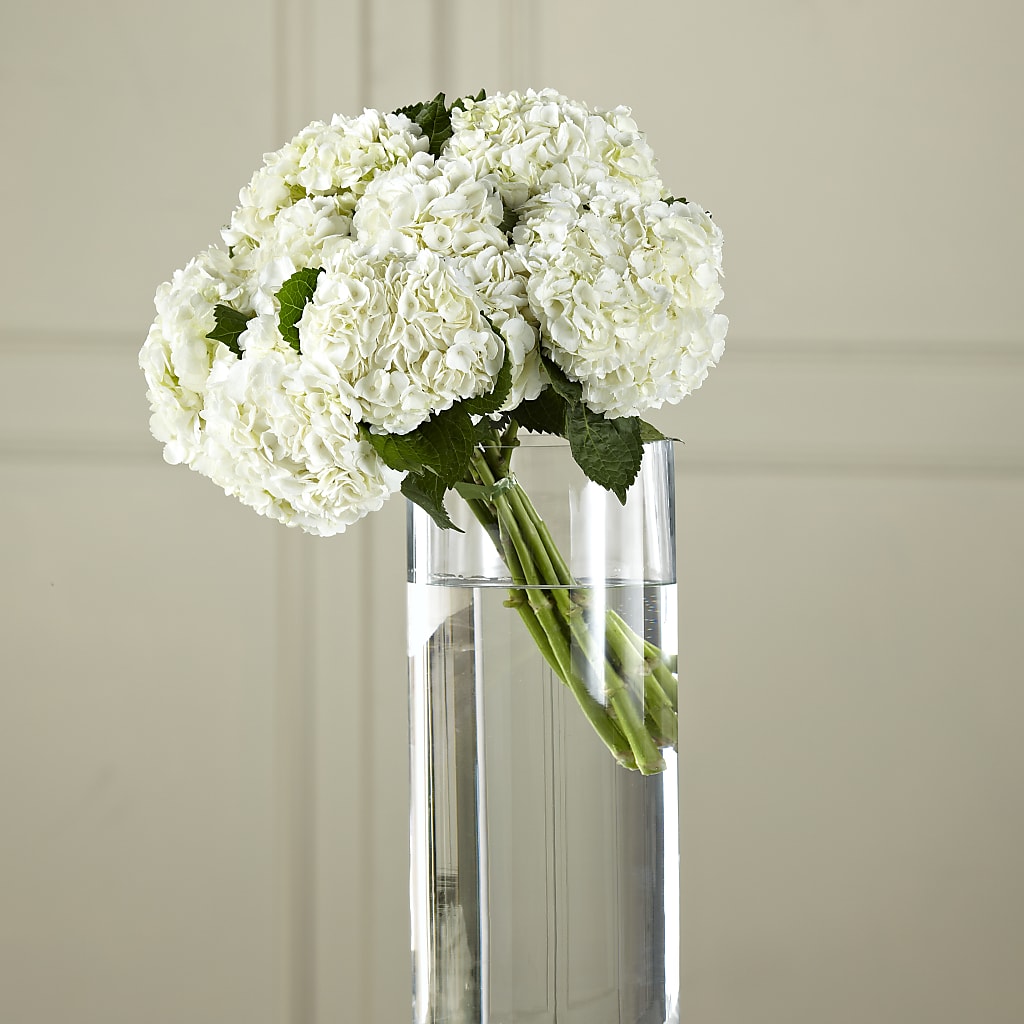 White Hydrangea Hand-Tied Bouquet – United Family Flower And Gifts, Brooklyn NY