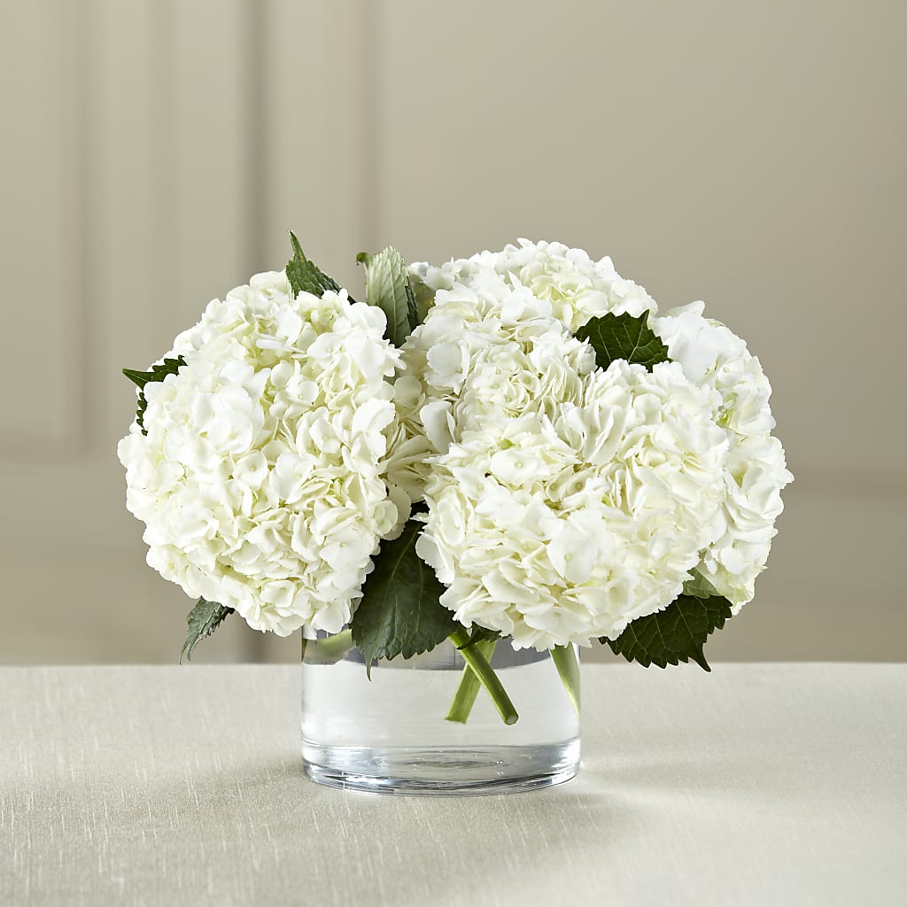 White Hydrangea Bouquet – United Family Flower And Gifts, Brooklyn NY