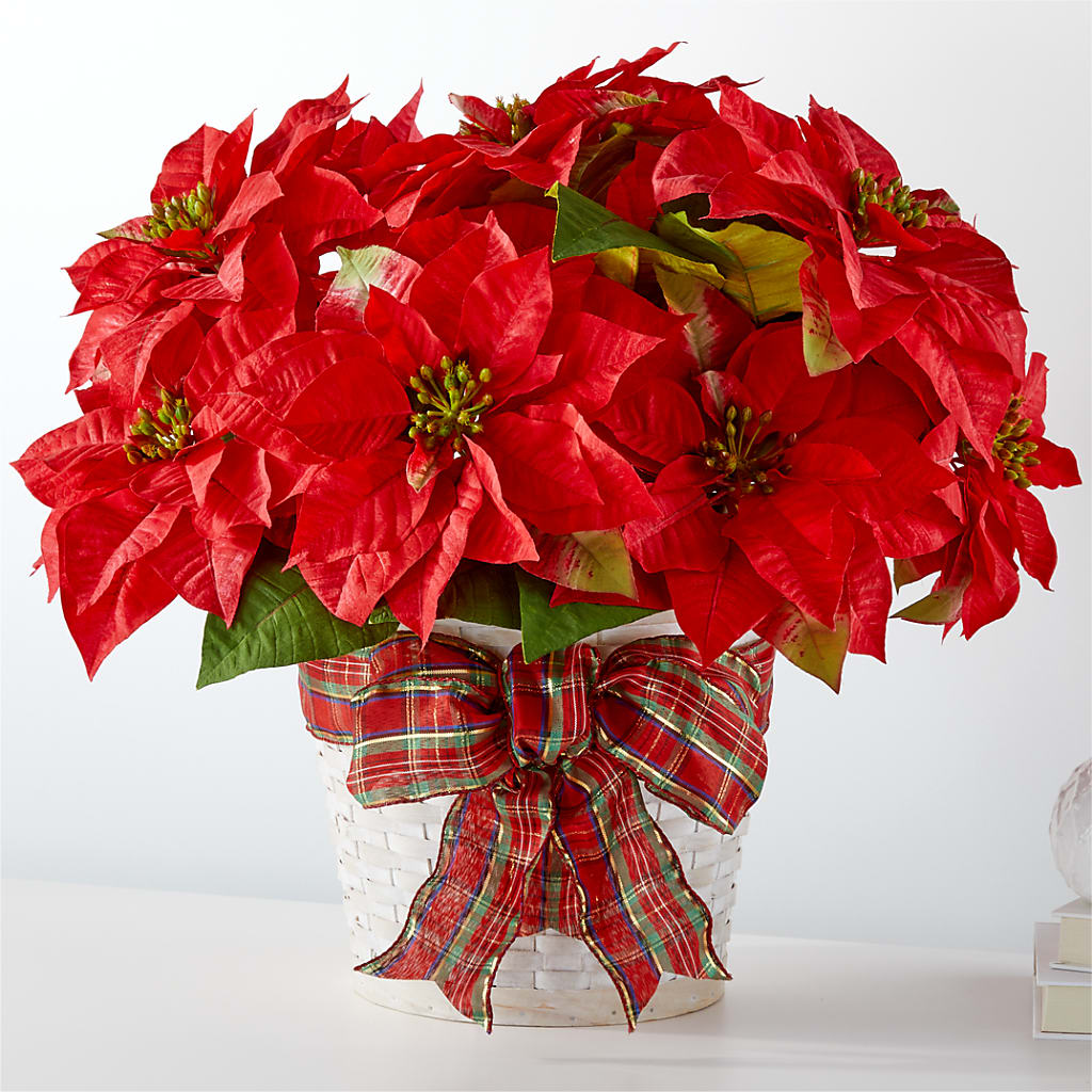 Happiest Holidays Poinsettia –  United Family Flower And Gifts, Brooklyn NY