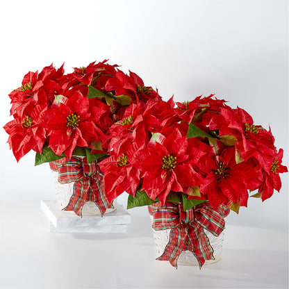 Happiest Holidays Poinsettia Bundle –  United Family Flower And Gifts, Brooklyn NY
