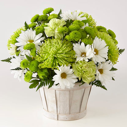 Lucky Charm Basket (Standard) –  United Family Flower And Gifts, Brooklyn NY
