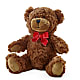 Adorable Plush Bear –  United Family Flower And Gifts, Brooklyn NY