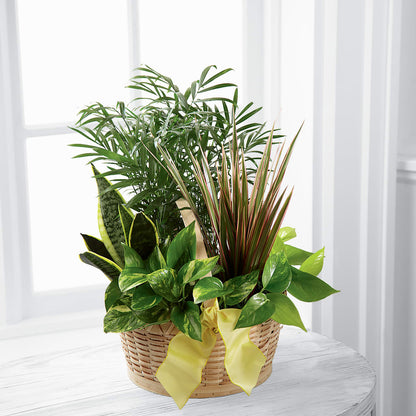French Garden –  United Family Flower And Gifts, Brooklyn NY