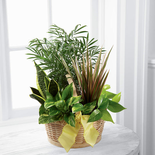 French Garden –  United Family Flower And Gifts, Brooklyn NY