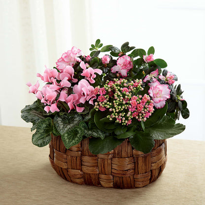 Pink Assortment –  United Family Flower And Gifts, Brooklyn NY
