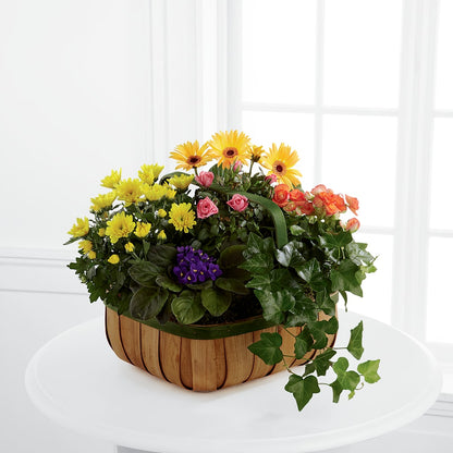 Gentle Blossoms Basket –  United Family Flower And Gifts, Brooklyn NY