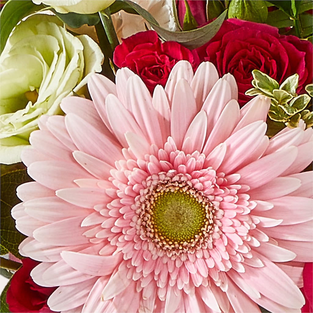 Too Cute Bouquet –  United Family Flower And Gifts, Brooklyn NY
