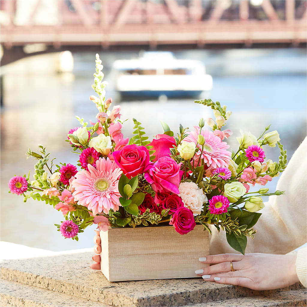 Too Cute Bouquet –  United Family Flower And Gifts, Brooklyn NY