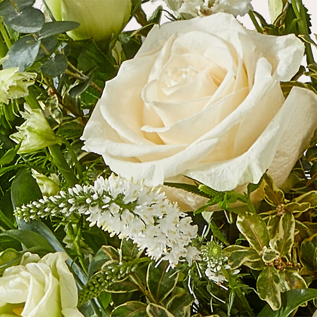 Cashmere Bouquet –  United Family Flower And Gifts, Brooklyn NY