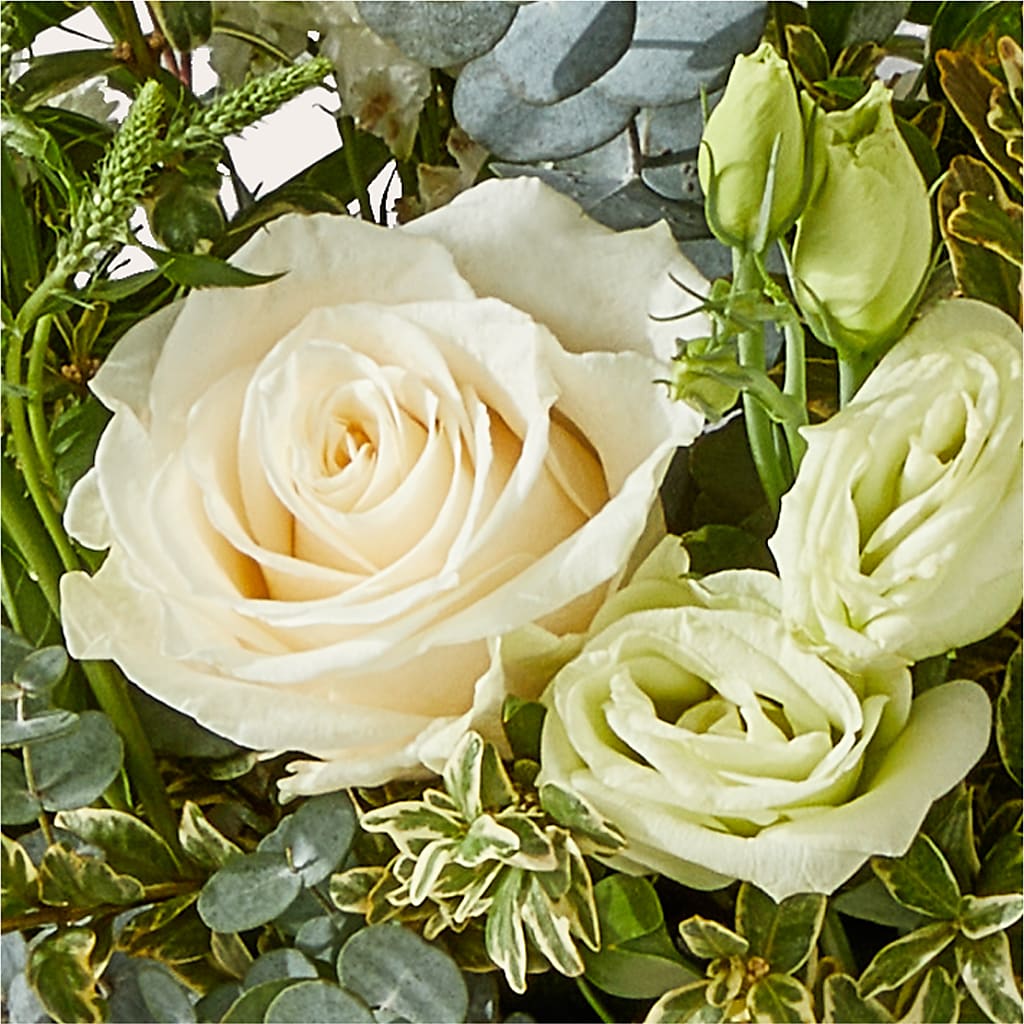 Cashmere Bouquet –  United Family Flower And Gifts, Brooklyn NY