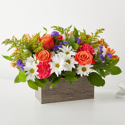 Oopsie Daisy Box Bouquet –  United Family Flower And Gifts, Brooklyn NY