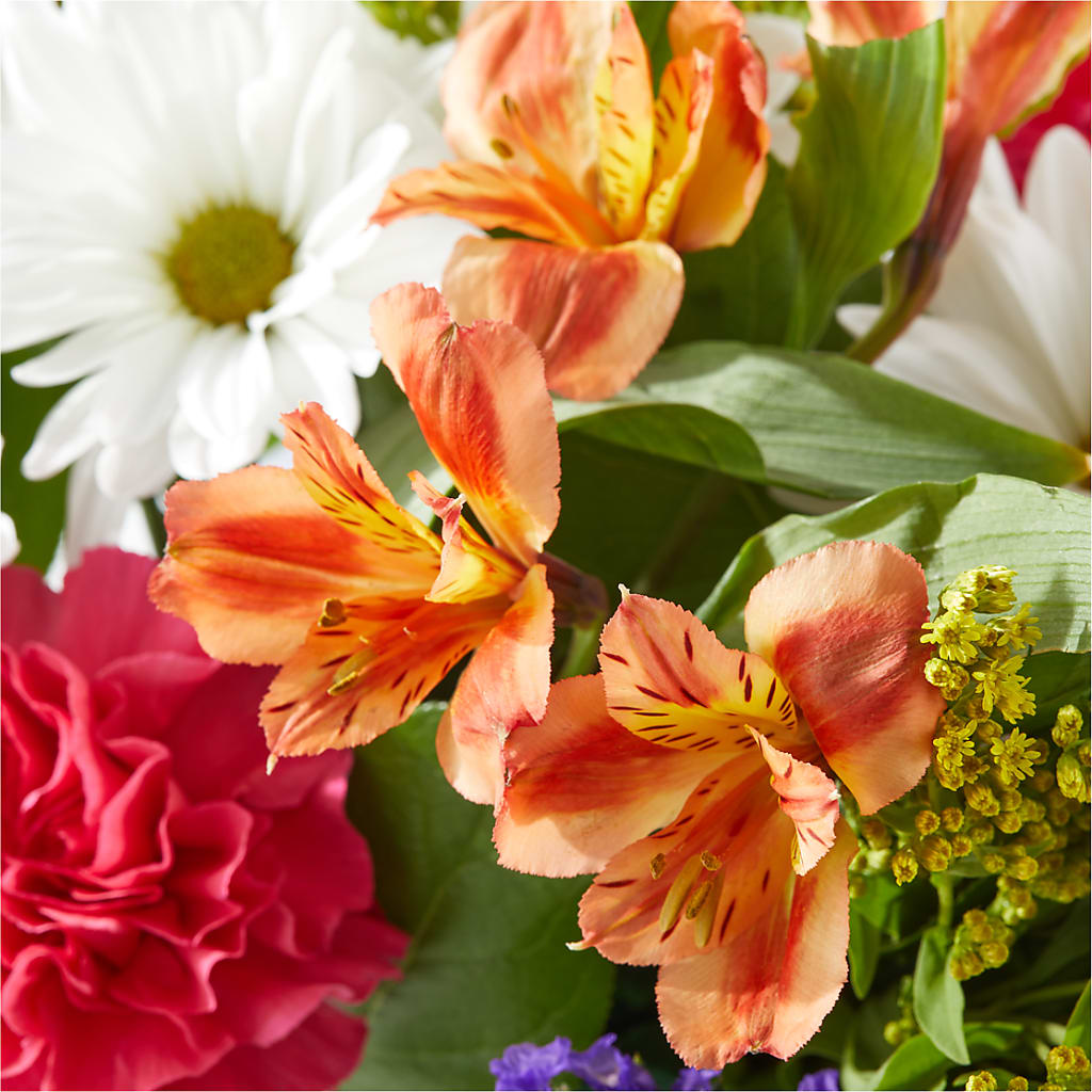 Oopsie Daisy Box Bouquet –  United Family Flower And Gifts, Brooklyn NY