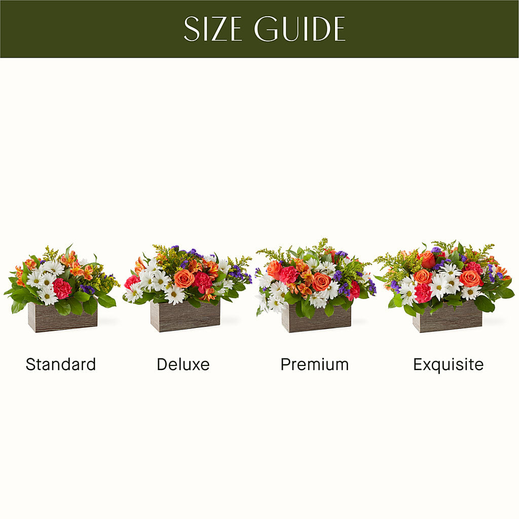 Oopsie Daisy Box Bouquet –  United Family Flower And Gifts, Brooklyn NY