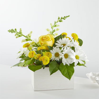 Sun Salutation Box Bouquet –  United Family Flower And Gifts, Brooklyn NY