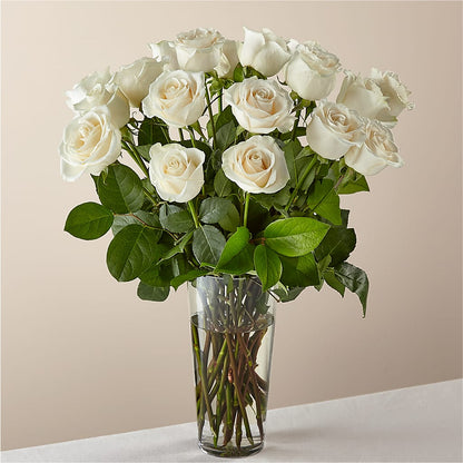 Long Stem White Rose Bouquet –  United Family Flower And Gifts, Brooklyn NY