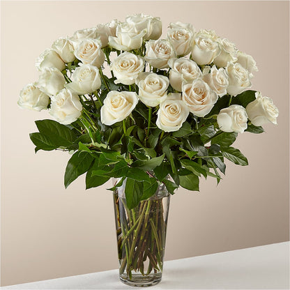 Long Stem White Rose Bouquet –  United Family Flower And Gifts, Brooklyn NY