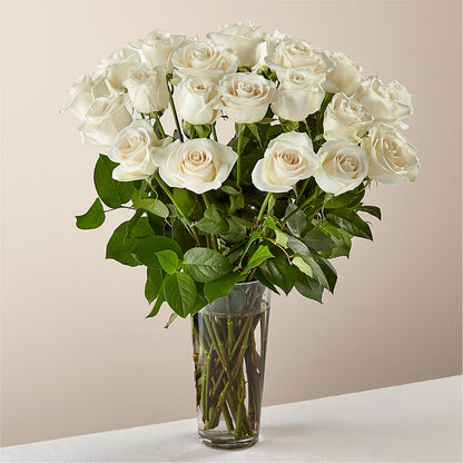 Long Stem White Rose Bouquet –  United Family Flower And Gifts, Brooklyn NY