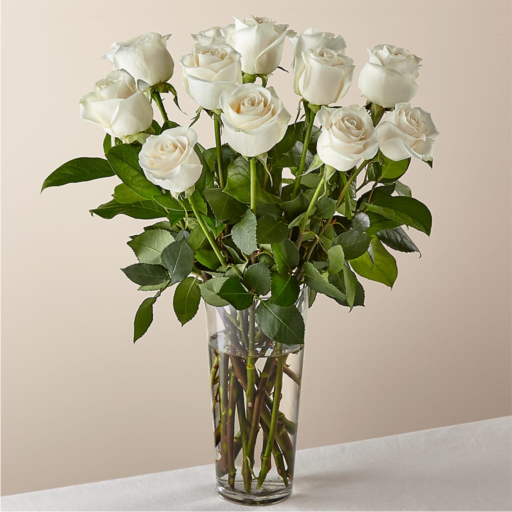 Long Stem White Rose Bouquet –  United Family Flower And Gifts, Brooklyn NY