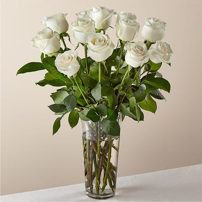 Long Stem White Rose Bouquet –  United Family Flower And Gifts, Brooklyn NY