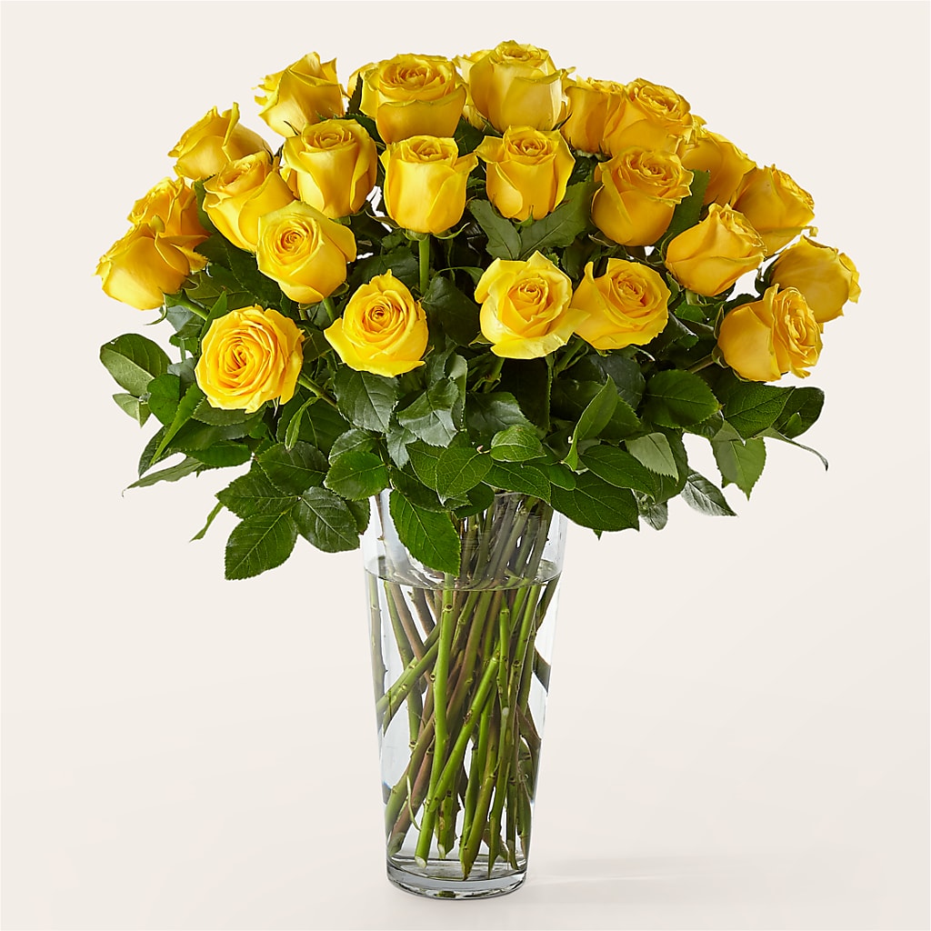 Long Stem Yellow Rose Bouquet –  United Family Flower And Gifts, Brooklyn NY