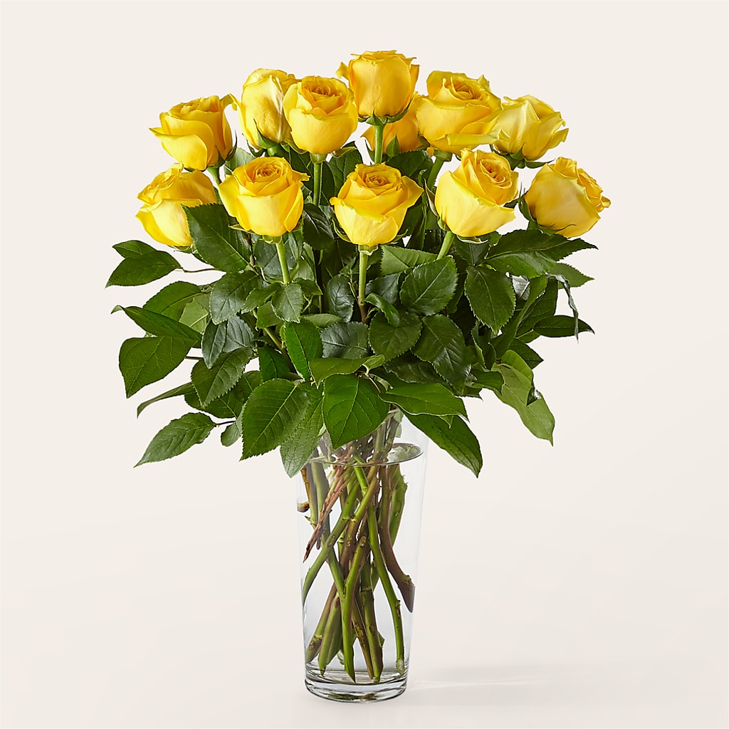 Long Stem Yellow Rose Bouquet –  United Family Flower And Gifts, Brooklyn NY