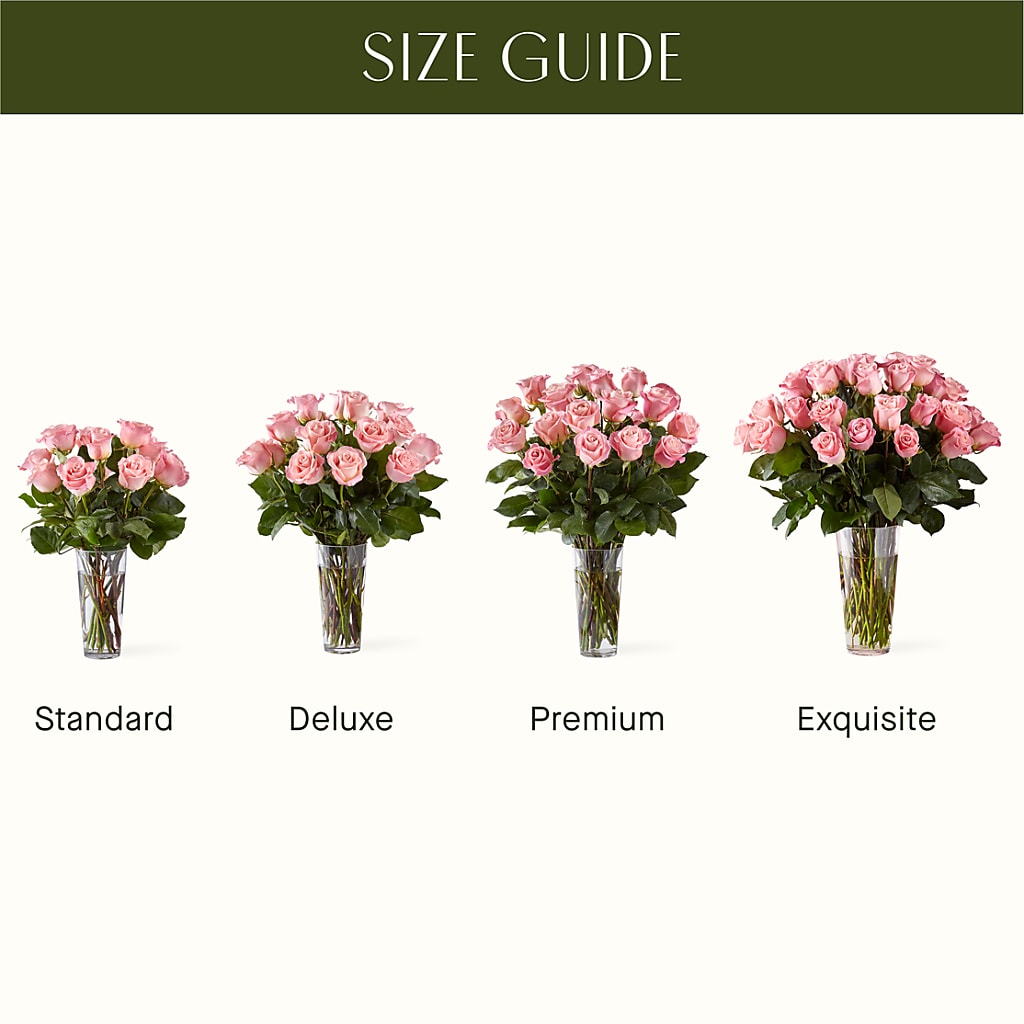 Long Stem Pink Rose Bouquet –  United Family Flower And Gifts, Brooklyn NY