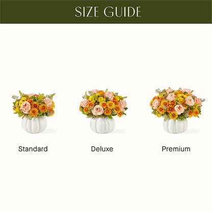 Peachy Pumpkin –  United Family Flower And Gifts, Brooklyn NY