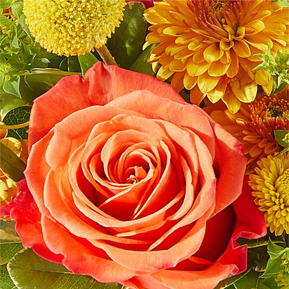 Gourdgeous Pumpkin –  United Family Flower And Gifts, Brooklyn NY