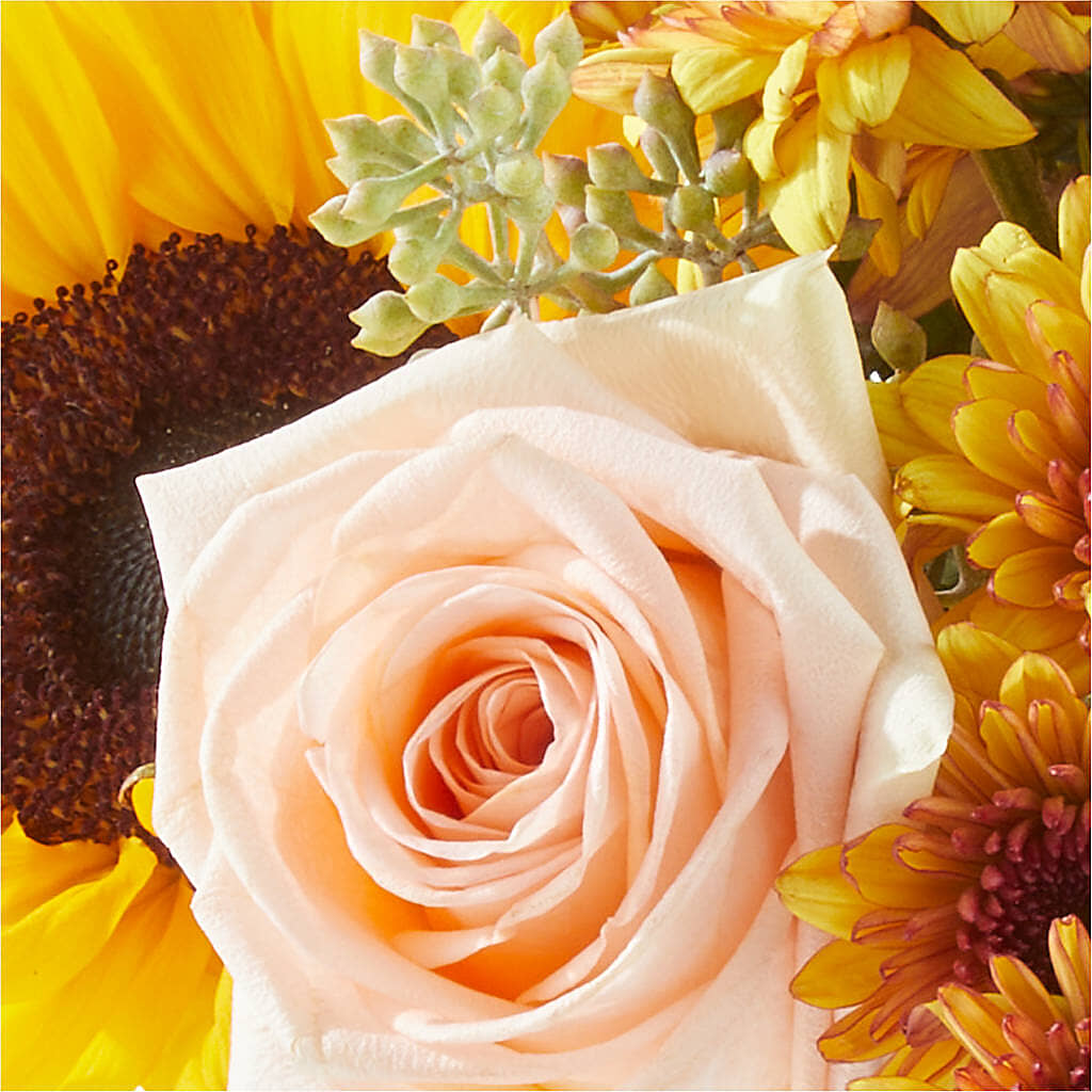 Pumpkin to Talk About Bouquet –  United Family Flower And Gifts, Brooklyn NY