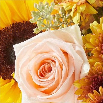 Pumpkin to Talk About Bouquet –  United Family Flower And Gifts, Brooklyn NY