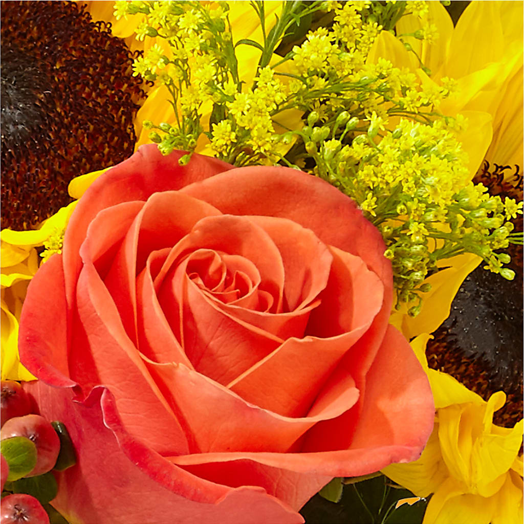 Pick of the Patch Pumpkin Bouquet –  United Family Flower And Gifts, Brooklyn NY