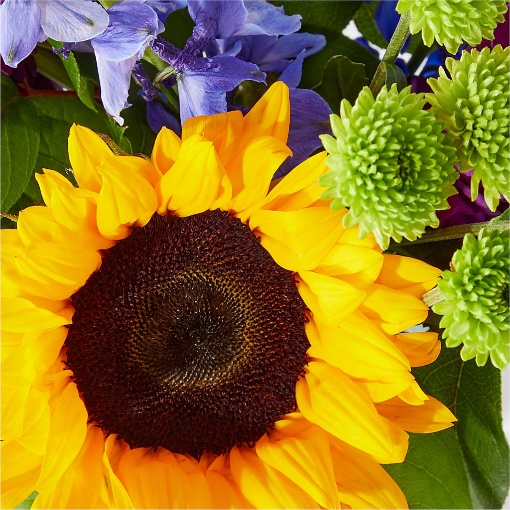 Catching Rays Bouquet –  United Family Flower And Gifts, Brooklyn NY