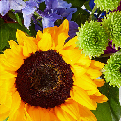 Catching Rays Bouquet –  United Family Flower And Gifts, Brooklyn NY
