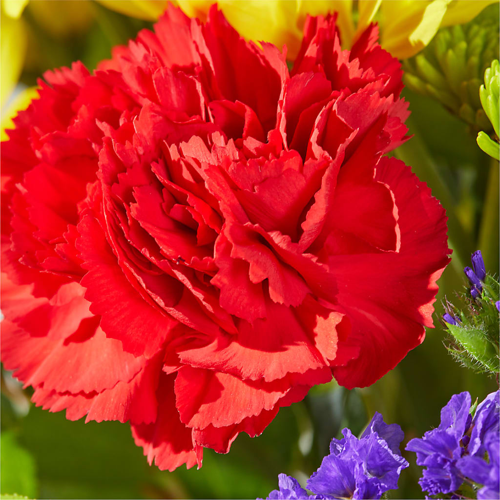 Brighter Days Bouquet –  United Family Flower And Gifts, Brooklyn NY