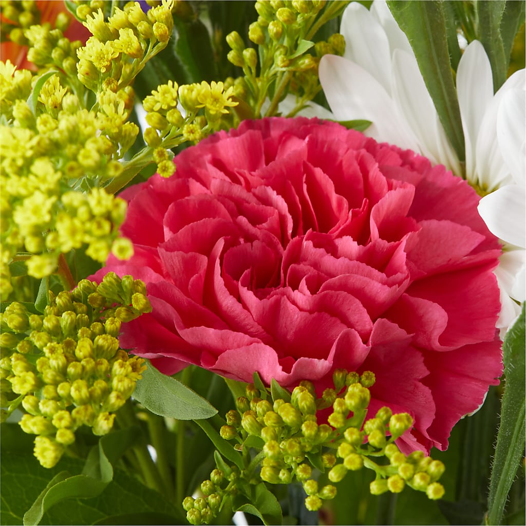 Oopsie Daisy Bouquet –  United Family Flower And Gifts, Brooklyn NY