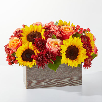 Fresh Cider Bouquet –  United Family Flower And Gifts, Brooklyn NY