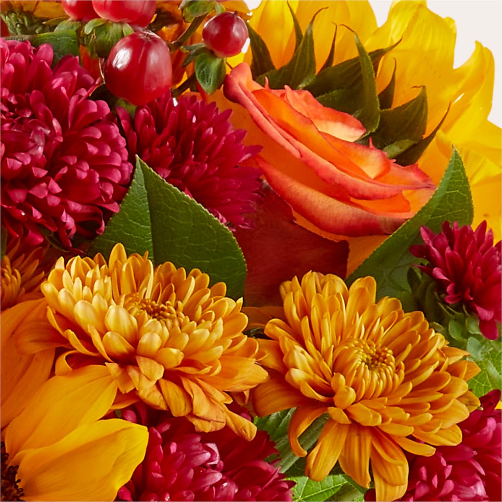 Sweater Season - A Florist Original –  United Family Flower And Gifts, Brooklyn NY