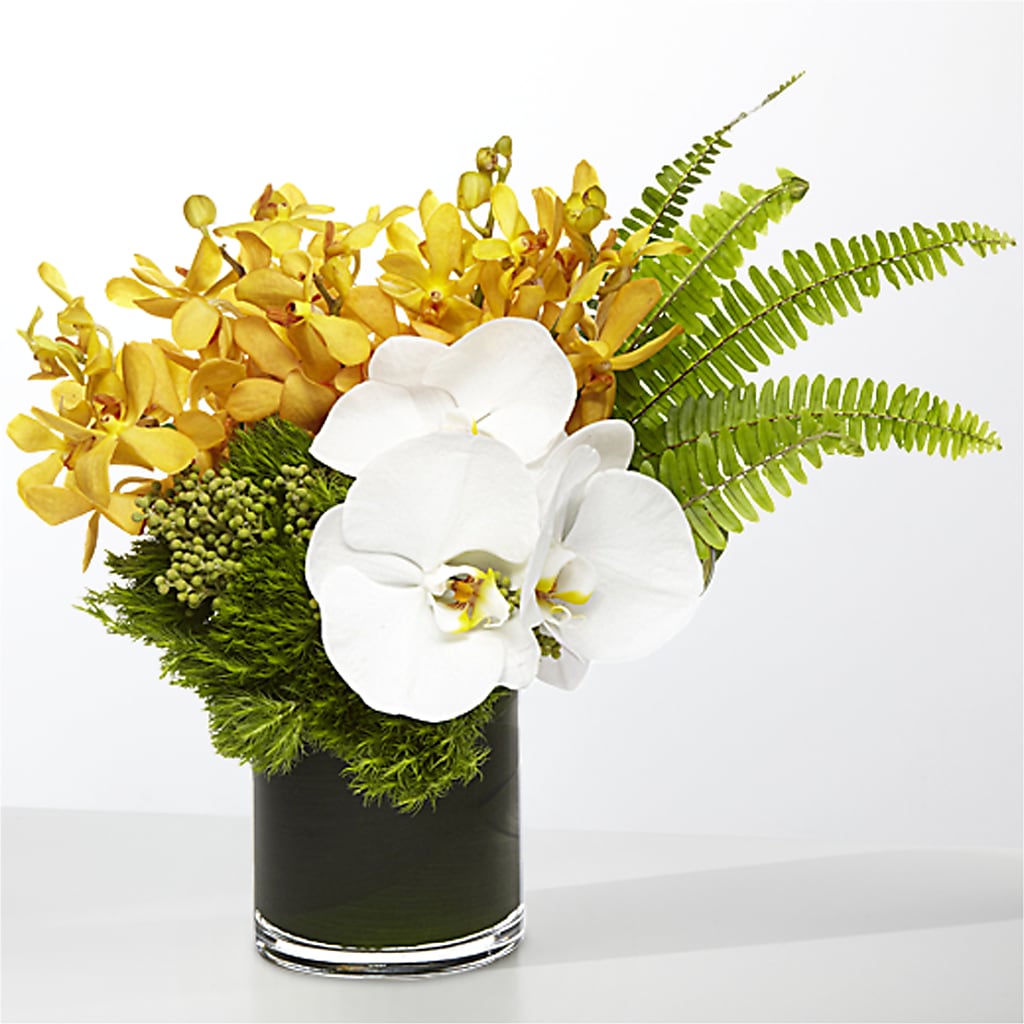 The Tropics –  United Family Flower And Gifts, Brooklyn NY