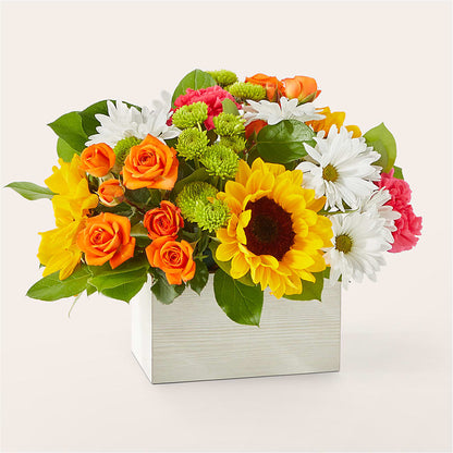 Sun-drenched Blooms Box Bouquet –  United Family Flower And Gifts, Brooklyn NY
