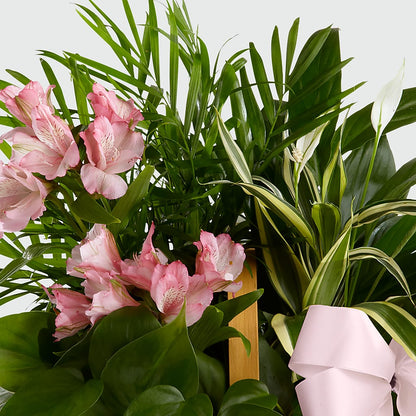Living Spirit Dishgarden –  United Family Flower And Gifts, Brooklyn NY