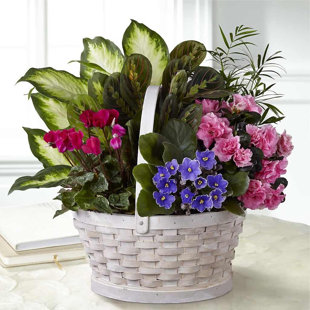 Peaceful Garden Planter –  United Family Flower And Gifts, Brooklyn NY