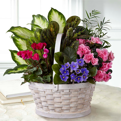 Peaceful Garden Planter –  United Family Flower And Gifts, Brooklyn NY