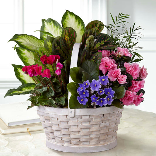 Peaceful Garden Planter –  United Family Flower And Gifts, Brooklyn NY