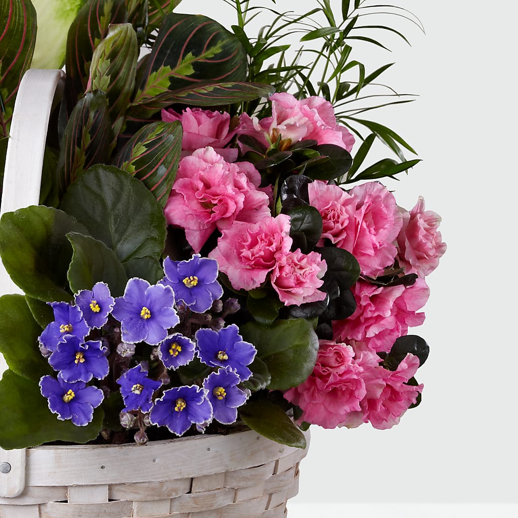 Peaceful Garden Planter –  United Family Flower And Gifts, Brooklyn NY
